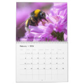 Diverse insecten voor de kalender van 2023 (Feb 2026)