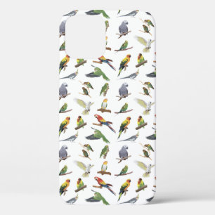 Diverse kleurrijke papegaaien Case-Mate iPhone case