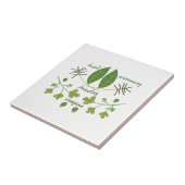 Diverse kruiden tegeltje (Zijkant)