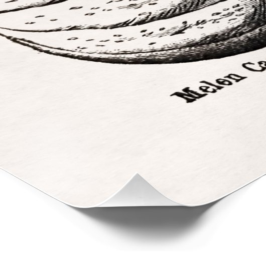 Diverse meloensoorten perfect poster (Hoek)