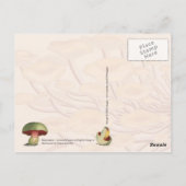 Diverse paddenstoelen briefkaart (Achterkant)