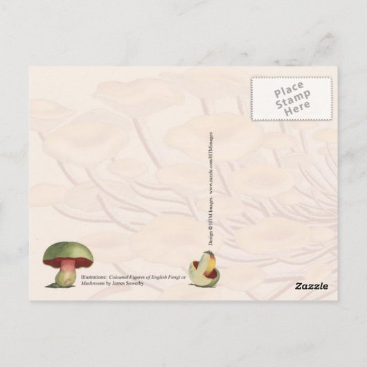 Diverse paddenstoelen briefkaart (Achterkant)