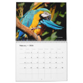 Diverse papegaaien 12-maandenkalender kalender (Feb 2026)