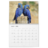 Diverse papegaaien 12-maandenkalender kalender (Mar 2026)