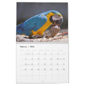 Diverse papegaaien kalender (Feb 2026)