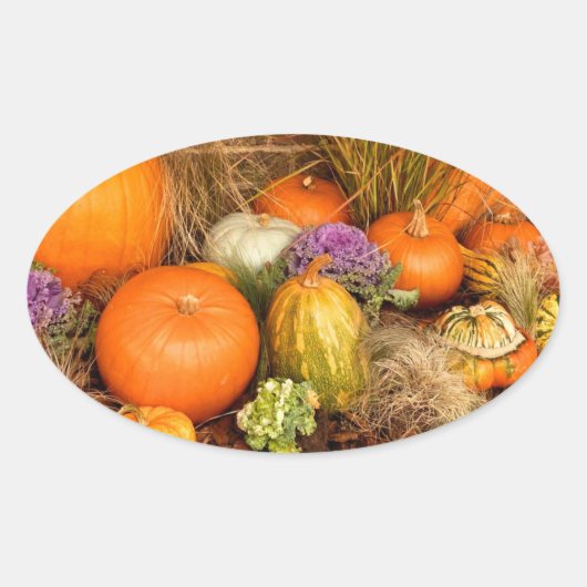 Diverse pompoenen ovale sticker (Voorkant)