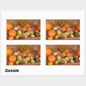 Diverse pompoenen rechthoekige sticker (Vel)