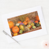 Diverse pompoenen rechthoekige sticker (Envelop)