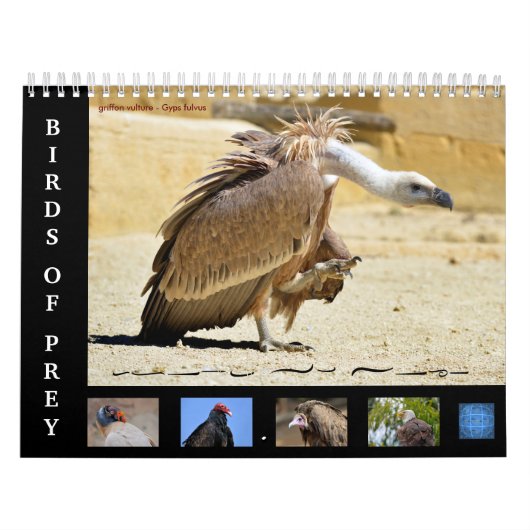 Diverse roofvogels 12-maandenkalender kalender (Hoes)