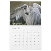 Diverse roofvogels 12-maandenkalender kalender (Jan 2026)