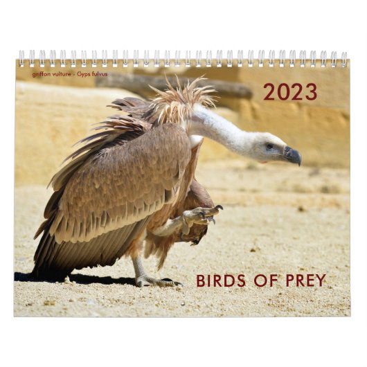 Diverse roofvogels kalender (Hoes)