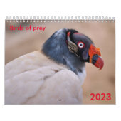 Diverse roofvogels kalender (Hoes)