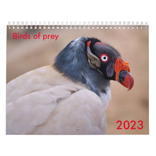 Diverse roofvogels kalender (Hoes)