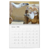 Diverse roofvogels kalender (Jan 2026)