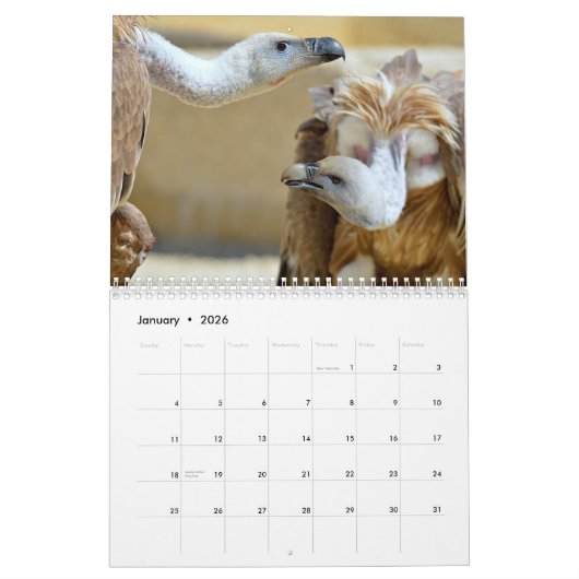 Diverse roofvogels kalender (Jan 2026)