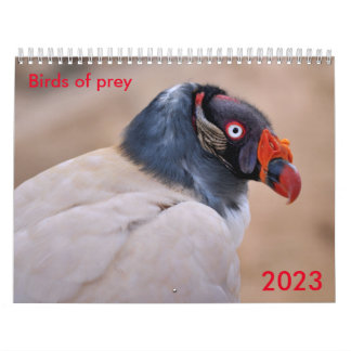 Diverse roofvogels kalender