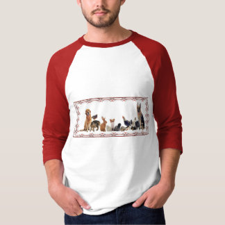 Diverse Schattige Raglan T-shirt