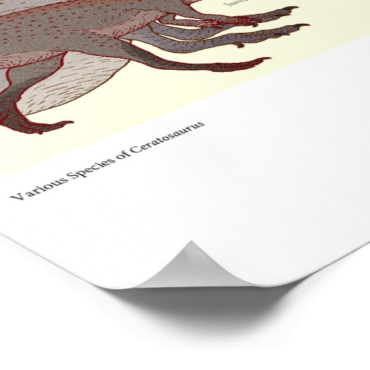 Diverse soorten Ceratosaurus Poster (Hoek)