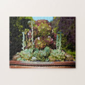 Diverse Succulenten in Grote Planter Legpuzzel (Horizontaal)