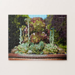 Diverse Succulenten in Grote Planter Legpuzzel