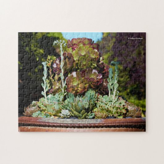 Diverse Succulenten in Grote Planter Legpuzzel (Horizontaal)