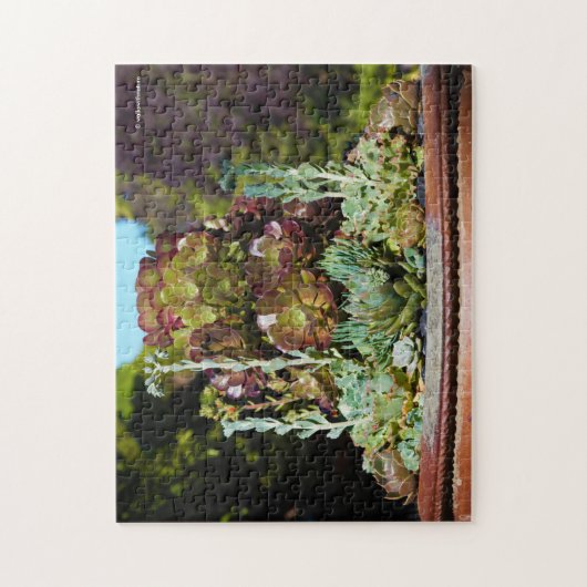 Diverse Succulenten in Grote Planter Legpuzzel (Verticaal)