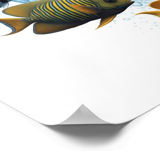 Diverse visschool ontwerp poster (Hoek)