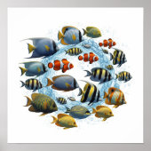 Diverse visschool ontwerp poster (Voorkant)