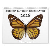 Diverse vlinders 2023 kalender (Hoes)