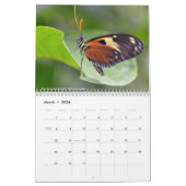 Diverse vlinders kalender (Mar 2026)