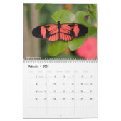 Diverse vlinders kalender (Feb 2026)