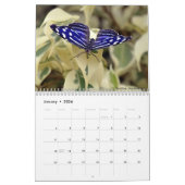 Diverse vlinders kalender (Jan 2026)