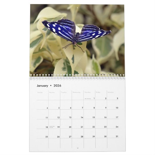 Diverse vlinders kalender (Jan 2026)
