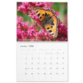 Diverse vlinders voor kalender 2023 (Jan 2026)