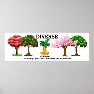 DIVERSE - Vocabulair Poster