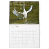 Diverse vogels 12-maandenkalender kalender (Mar 2026)
