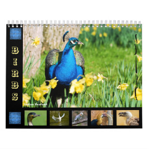 Diverse vogels 12-maandenkalender kalender