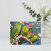 Diverse vogels briefkaart (Staand voorkant)