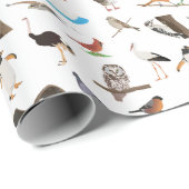 Diverse vogels cadeaupapier (Rol Hoek)