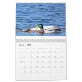 Diverse vogels en eenden kalender (Mar 2027)