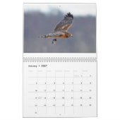 Diverse vogels en eenden kalender (Jan 2027)