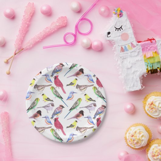 Diverse vogels in de waterverf - schattige gezelsc papieren bordje (Feest)