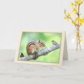 Diverse wereld: chipmunk, vogel, bloemkaart kaart (Gele Bloem)