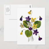 Diverse wilde viooltjes gedaan in Crewel borduurwe Briefkaart (Voorkant / Achterkant)