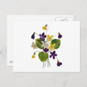 Diverse wilde viooltjes gedaan in Crewel borduurwe Briefkaart (Voorkant / Achterkant)