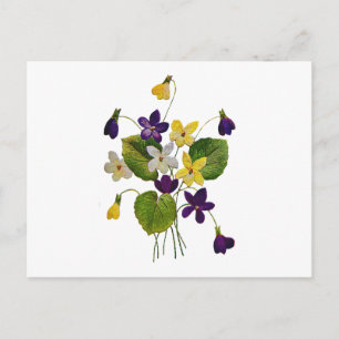 Diverse wilde viooltjes gedaan in Crewel borduurwe Briefkaart