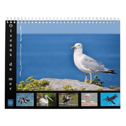 Diverse zeeen 12-maandenkalender kalender (Hoes)