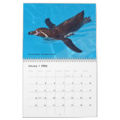 Diverse zeeen 12-maandenkalender kalender (Jan 2026)