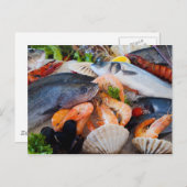 Diverse zeehonden briefkaart (Voorkant / Achterkant)