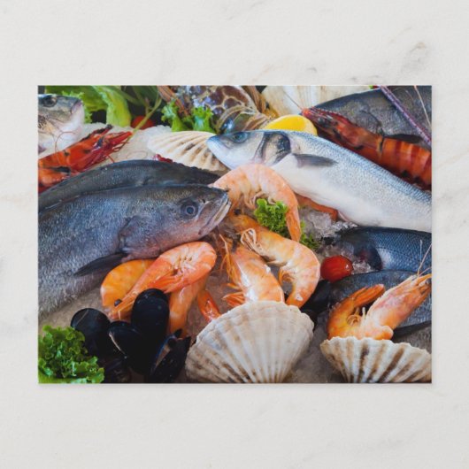 Diverse zeehonden briefkaart (Voorkant)